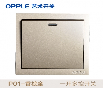 欧普照明opple艺术开关86型P01系列-P011014A-J2-一开多控-香槟金
