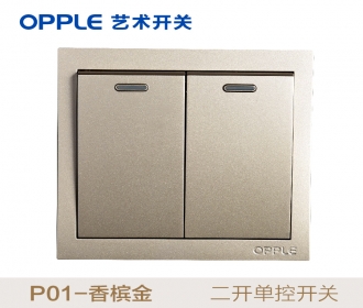 欧普照明opple艺术开关86型P01系列-P011021A-J2-二开单-香槟金