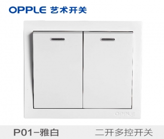 欧普照明opple艺术开关86型P01系列-P011024A-二开多控