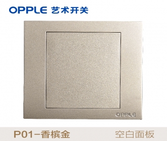 欧普照明opple艺术开关86型P01系列-P015401-J2-86白板-香槟金