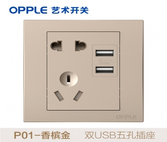 欧普照明opple艺术开关86型P01系列-P018501-J2-双USB五孔插座-香槟金