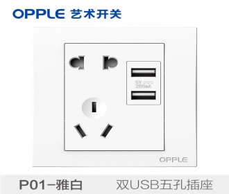 欧普照明opple艺术开关86型P01系列-P018501-双USB五孔插座